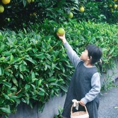 遂宁首座万豪酒店·大堂吧 User Photo