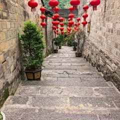 DING AUNT User Photo