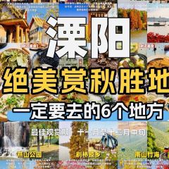 南山一品酒樓張用戶圖片