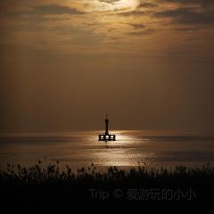 紫薇冷饮(桐乡店) User Photo