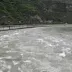 dzyang