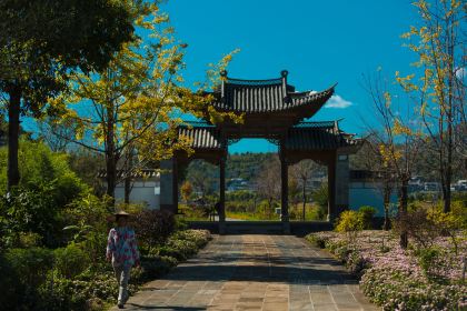 Zhangjia Yard Tengyue Cuisine