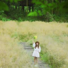 宣平八味 User Photo