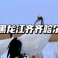 米家清真極品牛羊肉(民祥店)張用戶圖片