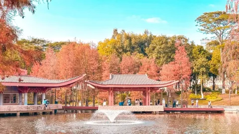 千燈湖公園 attraction in 佛山