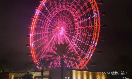 The Orlando Eye