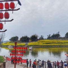 徐大姐家常菜 User Photo