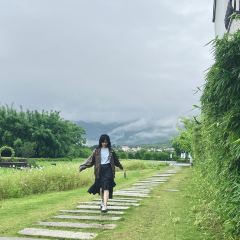 春沐源咖啡厅 User Photo