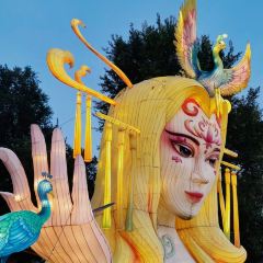 发记四川大盆鱼 User Photo