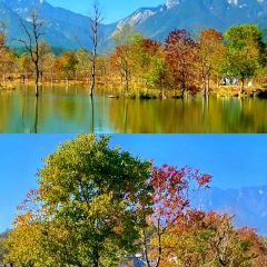 Sage Hall Homestay User Photo