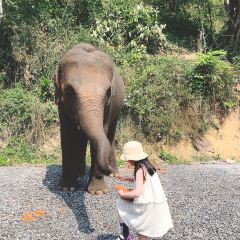 简聿咖啡 User Photo