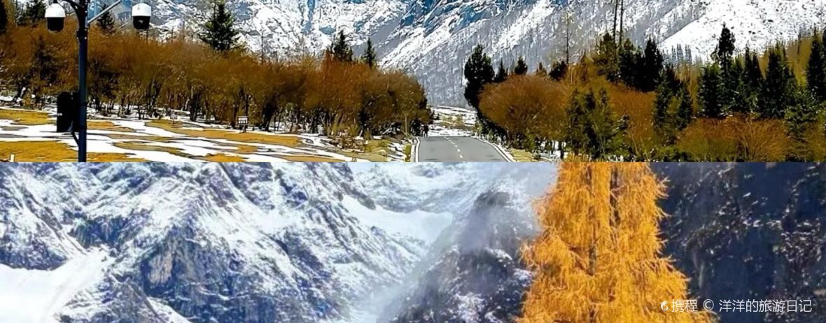 阿坝四姑娘山绒雪藏庄住宿