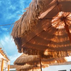 乌鲁木齐县大山小舍民宿·大山咖啡(BAR) User Photo