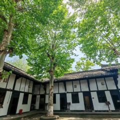 Wang Qing Shui User Photo
