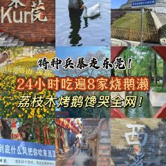 杞兴东莞烧鹅(石井路店) User Photo