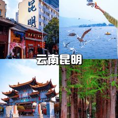 YI TANG YI BAO User Photo