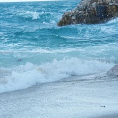 鲜粉之家(中山路店) User Photo