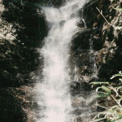 老太婆干挑面(苕溪路店) User Photo