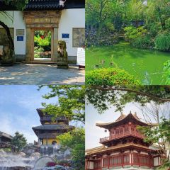 久宴·天目湖大魚頭(公園玖號恐龍園升級店)張用戶圖片