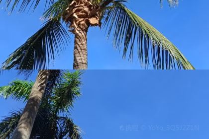 西湖驰名艇仔粥