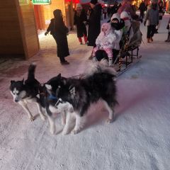 雪乡纳山纳雪酒店·中餐厅 User Photo