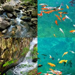 PAN PO FAN DIAN User Photo