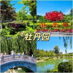 老韩头清真食品(欧亚商都店) User Photo