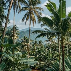 SURF GRAVITY User Photo