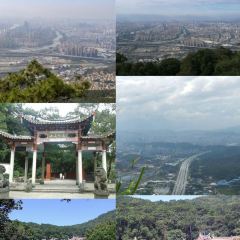 聚春園(南后街店)張用戶圖片