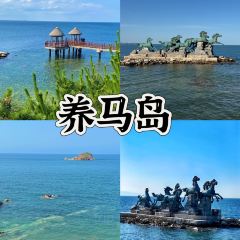 海岛日记(养马岛店) User Photo