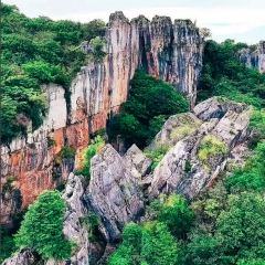 Zhan yi gong shi la zi Chicken (zhan yi) User Photo