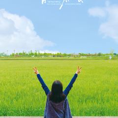 成都蓝城沐春风度假村·有稻里·稻田餐厅 User Photo