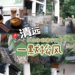 一默松风 User Photo