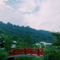 成都花水灣豪生溫泉大酒店豪生閣張用戶圖片