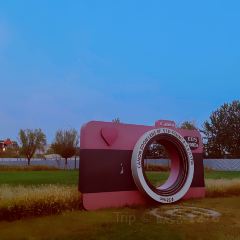 麥當勞（香河萬科店）張用戶圖片