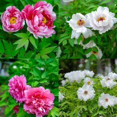 GOOD GOODS咖啡店(南园店) User Photo