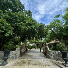 The Ironwood User Photo