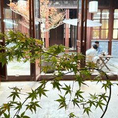 ou yun 여행 사진