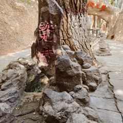 阿布都拉庄园 User Photo