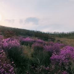 六国饭店 User Photo