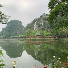 鼎湖山酒家 User Photo