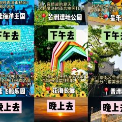 FULL Hainanese Chicken Rice User Photo