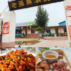 老张兴笨鸡店 User Photo
