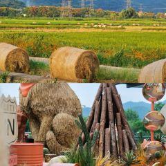 Laotaipo Restaurant (zhaoxia) User Photo