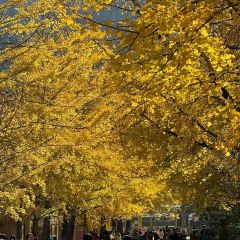 广府居酒楼 User Photo