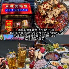 Yuzu Japanese Grill User Photo