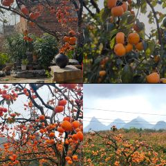 瑶乡饭店 User Photo