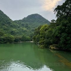 Weiweimushugeng User Photo