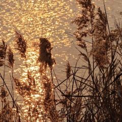 紫薇冷饮(桐乡店) User Photo