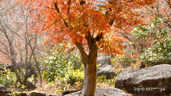 Blue Valley Ecotourism Resort